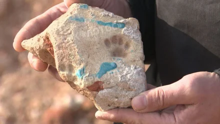 В Астраханской области археологи обнаружили след кошачьей лапы на средневековом изразце