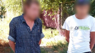 В Астрахани задержали двух мужчин, укравших ливнёвые решётки с Милицейского моста