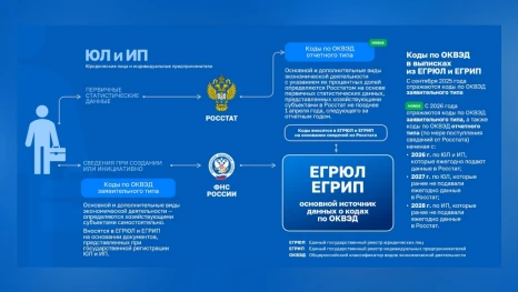 Изменился порядок внесения кодов ОКВЭД в реестры ЕГРЮЛ и ЕГРИП