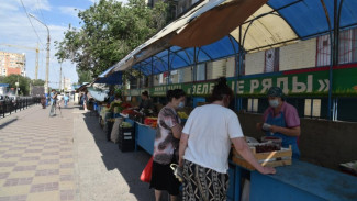 Астраханские дачники смогут продавать фрукты и овощи до конца ноября