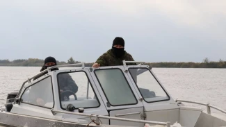 Астраханская полиция изъяла 10 лодок, почти 100 кг рыбы и 132 банки щучьей икры