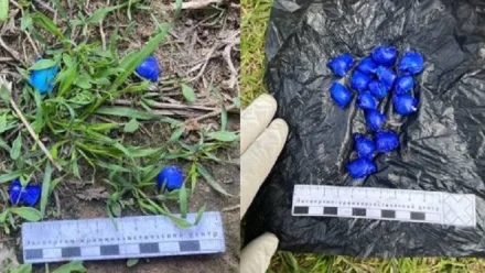 В Астрахани задержали иностранца с крупной партией мефедрона