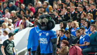 В Астрахани официальный гандбольный матч пройдёт со зрителями