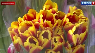 Что сегодня предлагают астраханцам магазины, и сколько стоят символы 8 Марта