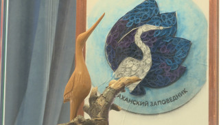 В Астраханском краеведческом музее открыли выставку поделок юных натуралистов