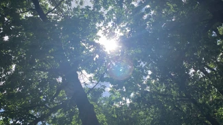 Какая погода ждет астраханцев на этой неделе