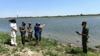 В Астраханской области иностранец пытался пересечь границу, переплыв реку