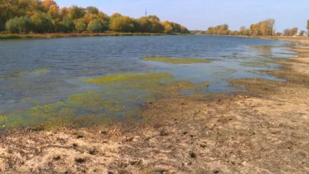 Астраханцы бьют тревогу из-за обмеления двух рек в Камызякском районе
