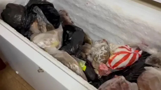 Две астраханки получили срок за продажу осетров полицейским