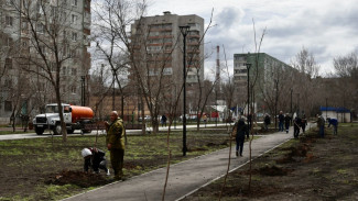 В Астрахани появятся абрикосовая и яблоневая аллеи