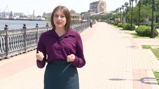 Астраханцам рассказали, какие ароматы могут привлекать мошек