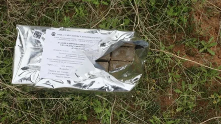 В Астраханской области в заказнике вакцинируют диких животных
