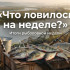 Что ловилось на неделе? Эфир от 22.03.2026