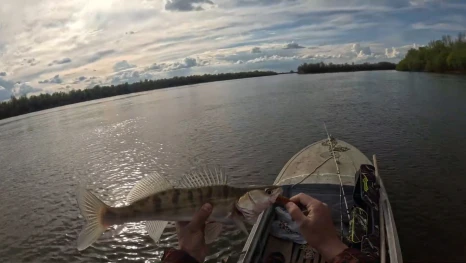 Что ловилось на неделе? Эфир от 17.04.2026