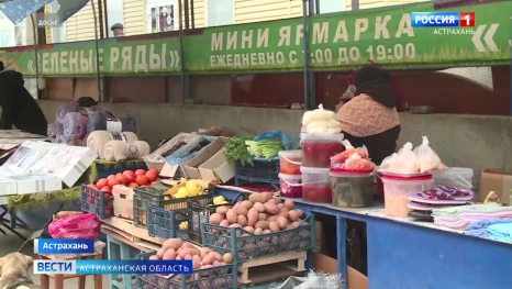 В Астрахани начали работать мини-ярмарки «Зеленые ряды»