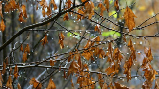 Завтра в Астраханской области ожидается похолодание