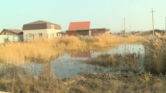 Кто виноват в подтоплении частных домов под Астраханью