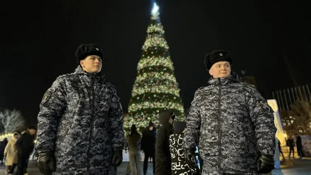 Астраханская область в новогоднюю ночь была под защитой росгвардейцев и полиции