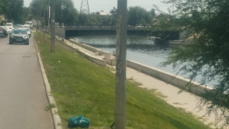 Почти 50 тысяч квадратных метров газона в Астрахани остались без полива