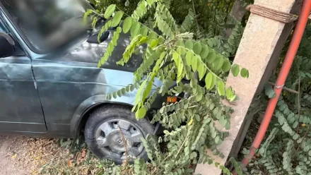 В Астрахани в ДТП на улице Герцена погиб мужчина