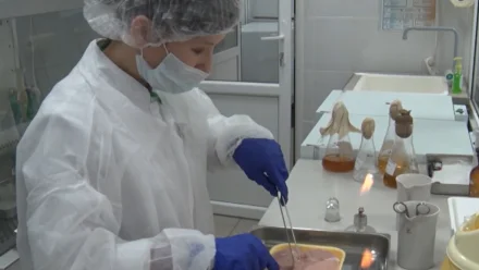 В Астраханской области в цехе по производству мяса птицы выявили нарушения