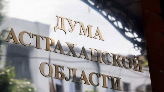 Астраханские депутаты поддержали федеральную инициативу о статусе некоторых участников СВО