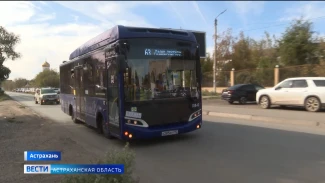 Более тысячи астраханцев подписали обращение к властям из-за транспортного коллапса