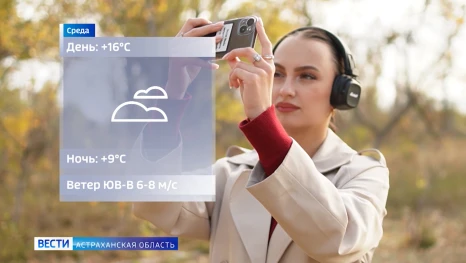 Насколько тепло пройдет предстоящая неделя октября