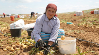 В Астраханской области сняли ограничения на въезд трудовых мигрантов 