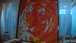 В Астрахани 14-летний подросток собрал картину из 600 кубиков Рубика
