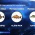 Астраханская область на 115% перевыполнила госзадание по воспроизводству ценных промысловых рыб