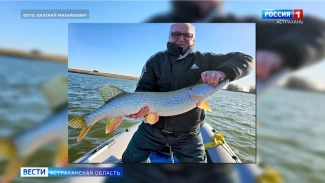 Астраханцы продолжают хвастаться фото своих уловов