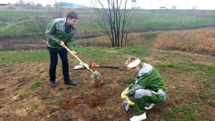 Суд обязал муниципальное предприятие Знаменска возместить более 2,4 млн рублей за вред почвам