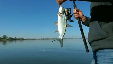 В Астрахани обсуждают возможность введения ограничений на рыбалку