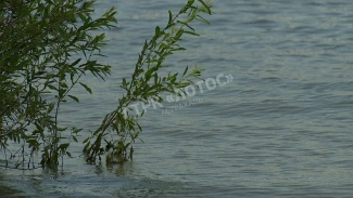 На севере Астраханской области утонул мужчина, спасая сына