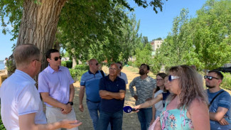 В Астрахани на Комсомольской набережной подлежат сносу только 9 тополей