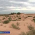 В Астраханской области продолжают сдерживать пески