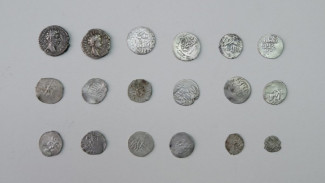 Собрание Астраханского краеведческого музея пополнилось древними монетами