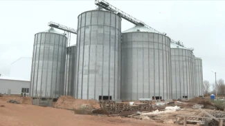 В Астраханской области создают современный мукомольный комплекс