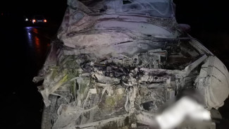 Под Астраханью пострадала женщина после наезда автомобиля на корову