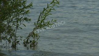 В Астраханской области погиб мужчина во время водной прогулки