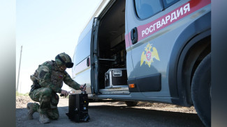 Около 10 тыс. взрывоопасных предметов обнаружили росгвардейцы за прошедший год