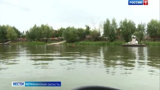 В Володарском районе появится современный глэмпинг