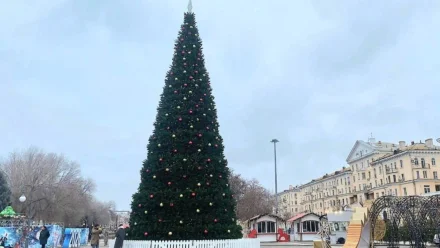 Завтра на главной ёлке Астрахани зажгут огни