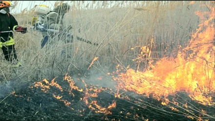 В Астраханской области ожидается чрезвычайная пожароопасность