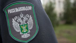 В Астраханской области с арендатора взыскали 4,4 млн рублей за причиненный почве ущерб