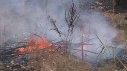 В Астрахани на улице Рождественского тушат крупное возгорание камыша