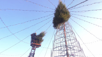 Во всех районах Астрахани устанавливают новогодние ёлки