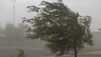 Коммунальные службы Астрахани переведены в режим повышенной готовности из-за ветра