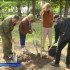 В Братском саду Астрахани высадили деревья